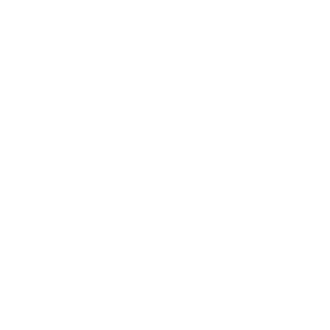 borusan