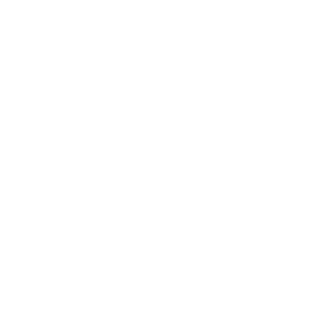 schneider